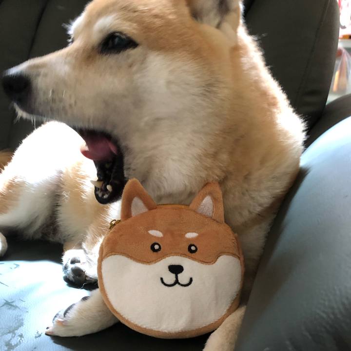 E15e0cba 0f2a 4cac 9245 566947ac732d 1561475465693