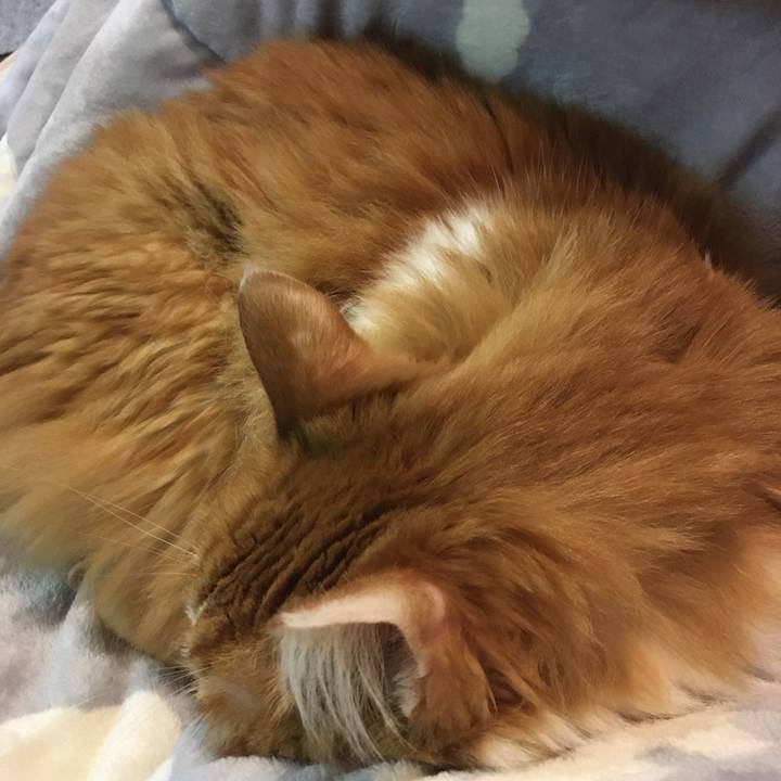 E15e1f24 b871 46fb 9305 4364291ef7de 1573567374855