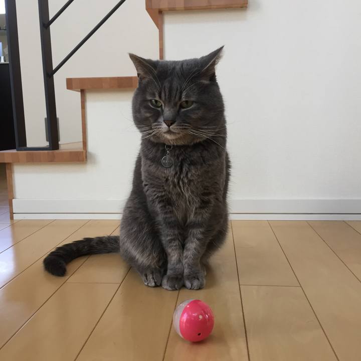 E15e3687 d848 4846 8d2a 541bc3961ea3 1666040970957