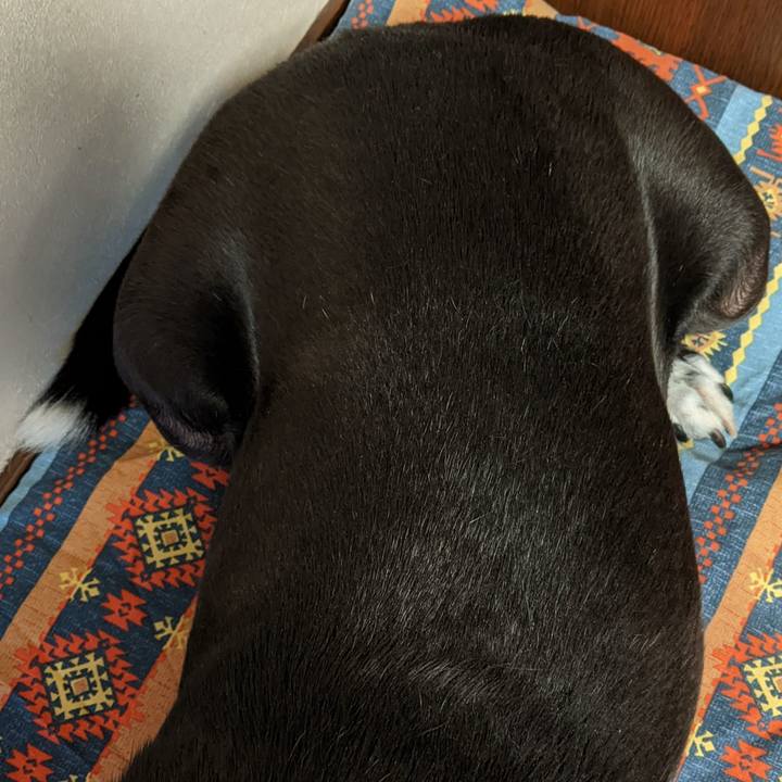 E15e8aba 9d6f 4cc5 8f09 98911a7ff5bb 1702898764217