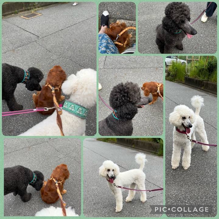 E15e96cb 7c82 42f5 bff3 0b2c7de33e78 1662209964751