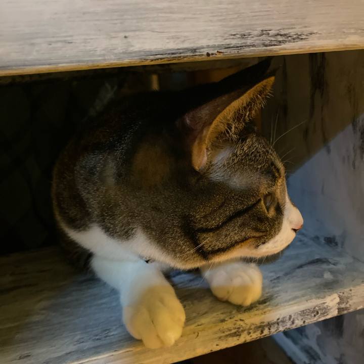 E15ea2a9 acd7 4bd4 926a 127802790f4f 1732959464658