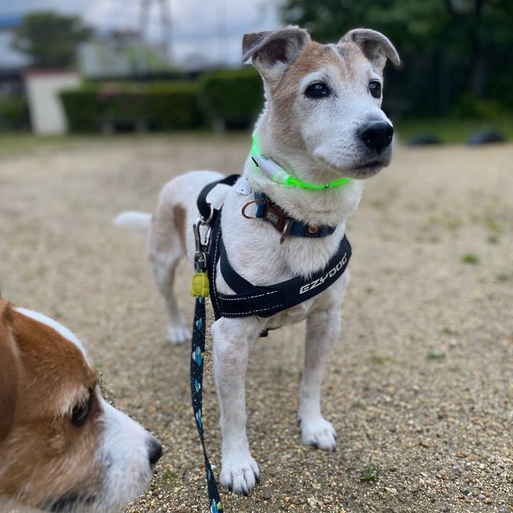 E15ed0c5 1a10 4d8a 887d 27852dbc40ae 1619871763382