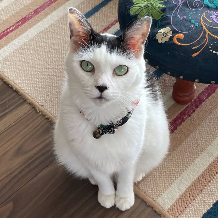 E15edc48 d23b 4041 932e d75a27ff9b6a 1693729966348