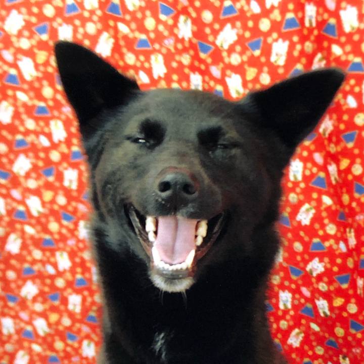 E15eef8f b34b 4b7b 95e5 1b21e0c6b824 1587262571880