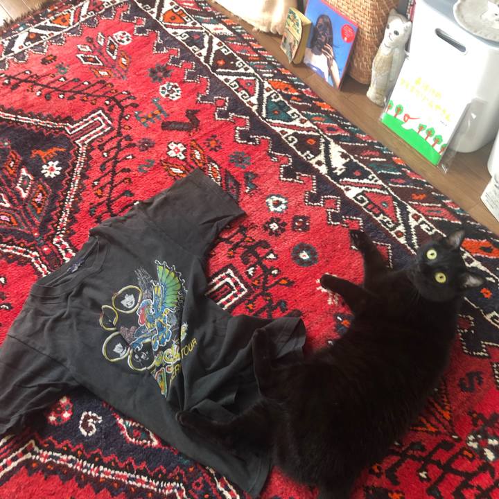 E15f098e 5fff 4693 b383 846b14f8b10c 1629852335840