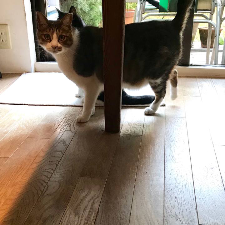 E15f336c e052 4ae1 907d c07898d84d49 1511778044868