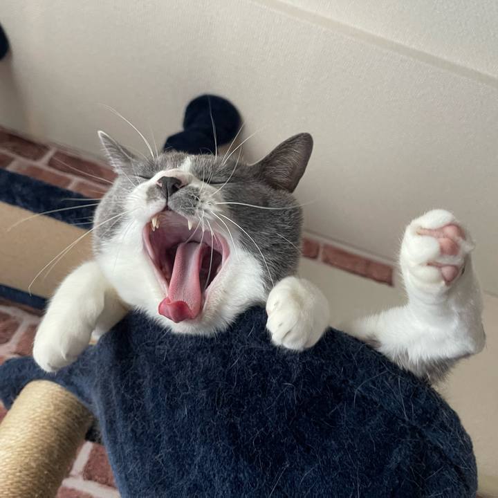 E15f34d1 90c5 4db3 a5c4 edde7f032e9c 1664610256922