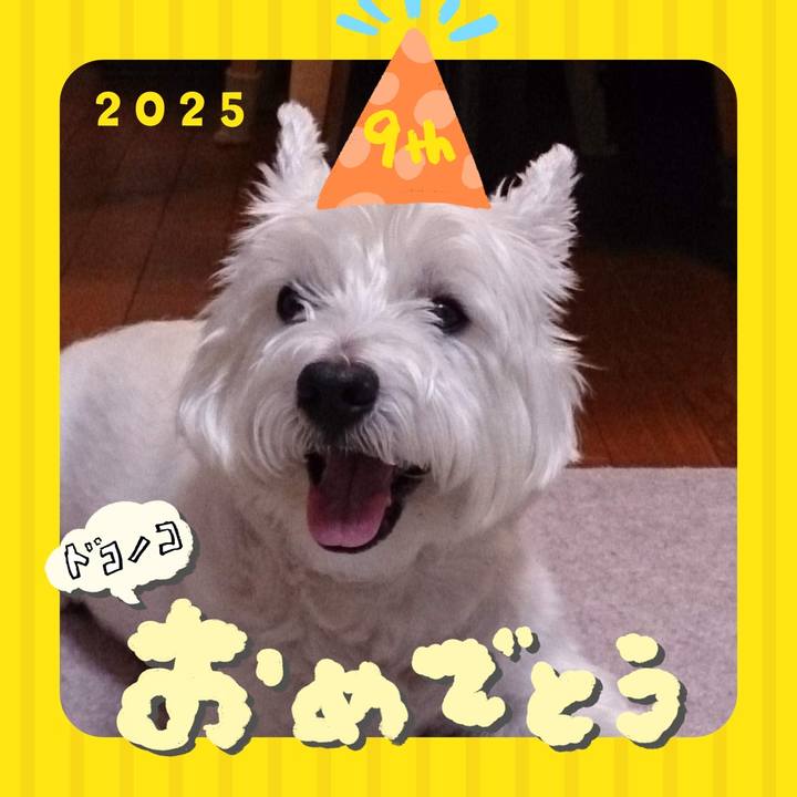 E15f75dc 5dcb 42a9 8ffc 30f48b6def16 1749619190167