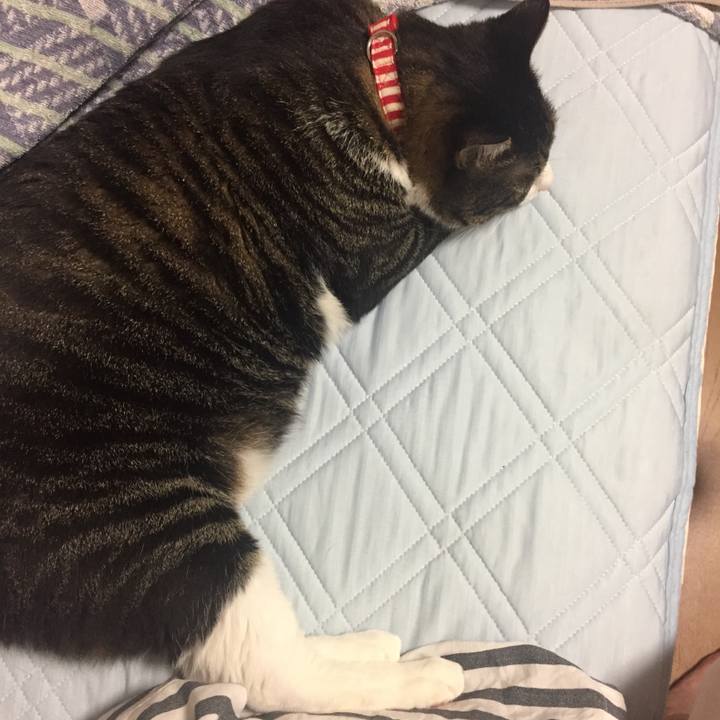 E15f7eb7 2116 4384 b6eb 4c501871d783 1534417040108