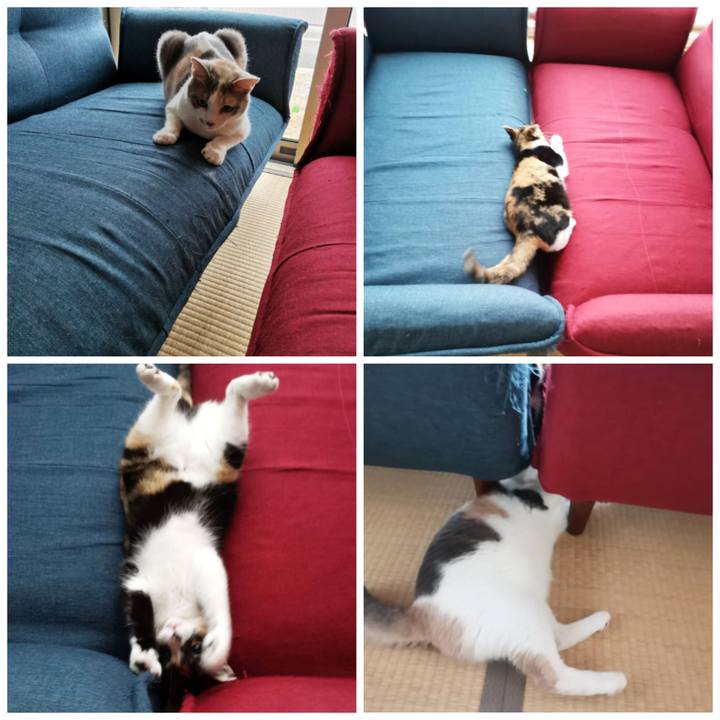 E15f82b3 d443 4796 89c1 b49cd9d1731c 1625645123180