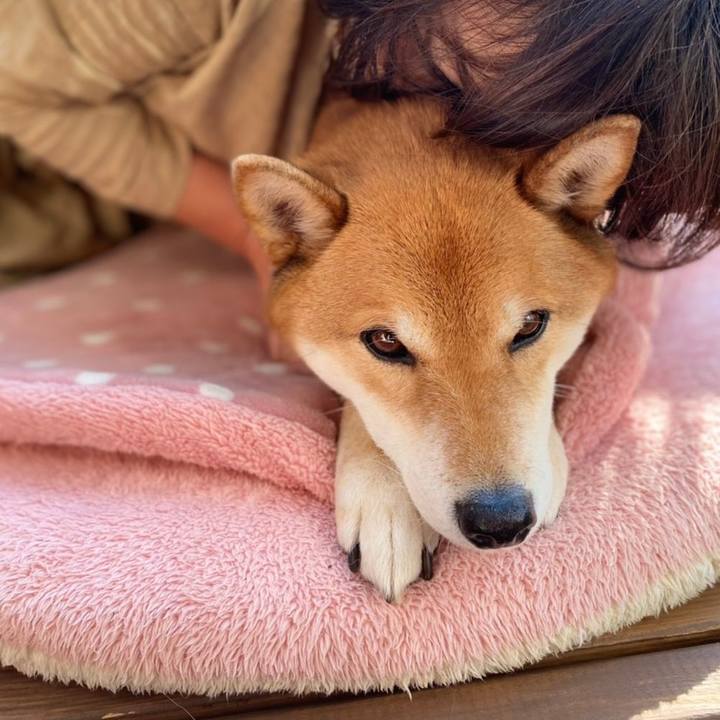 E1600a6b cd63 418a 8052 152e95020868 1612694239950