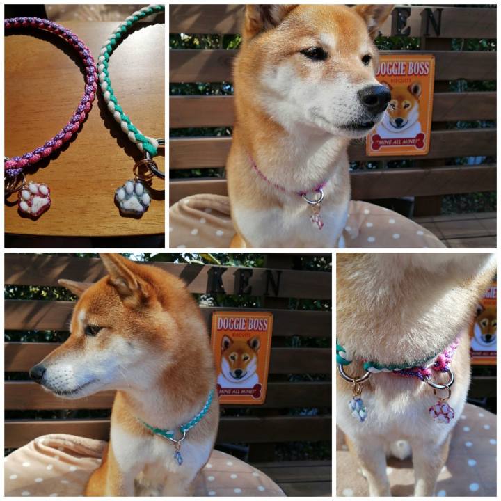 E1600d2c 3869 4dfa 8027 54a3969a7f52 1613819890346