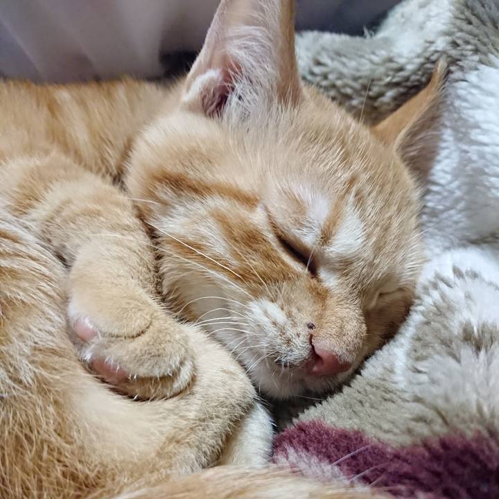 E1601818 7294 412b 85b7 4197665b2ed2 1634561684825