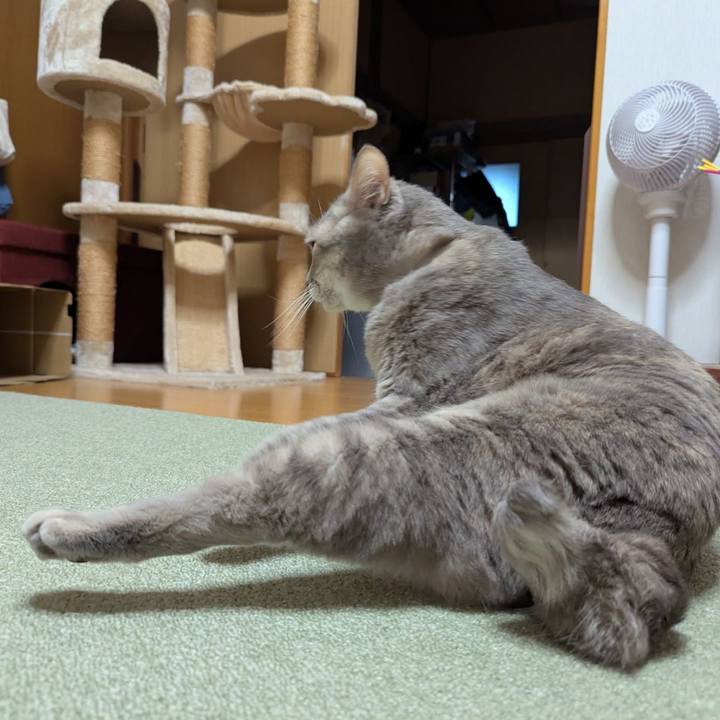 E160360a 02ac 42b4 aaaa 80375bc35f75 1740456957887