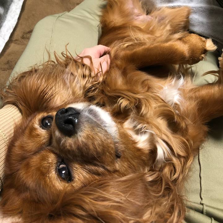 E16079e8 a939 4364 a9d0 342423ecc7ad 1634948556105