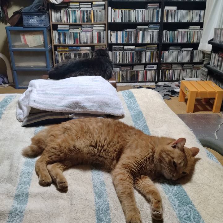 E1608c6f 9f8a 41a0 a53b 4babf08d525b 1757333133343