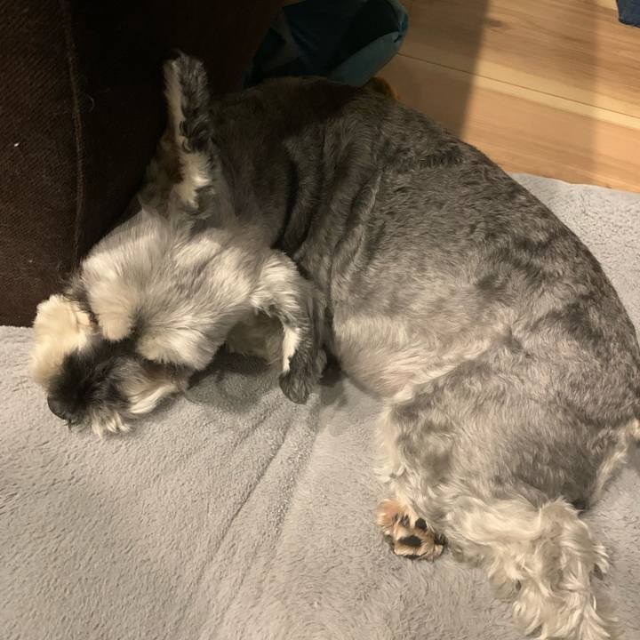 E1609cf3 fad5 4f7a b0fc ede4535162ce 1689064555302