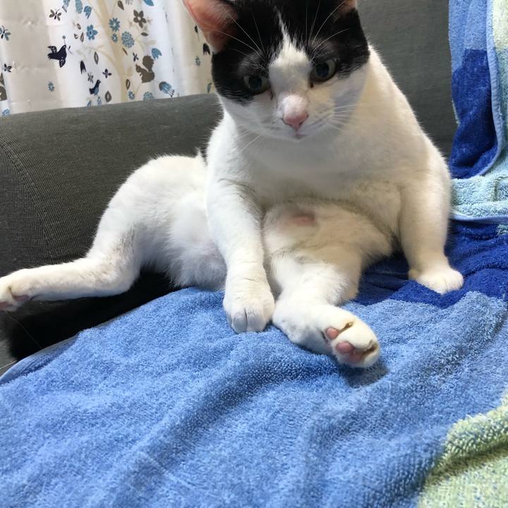 E160a1c8 8011 4d6b 981c 53a7644f4366 1581472312587