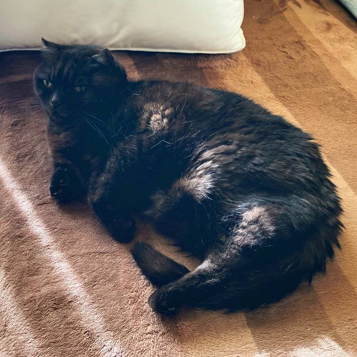 E160f1cf 9e36 43c7 89d2 70fa5d7c7b59 1640408584782