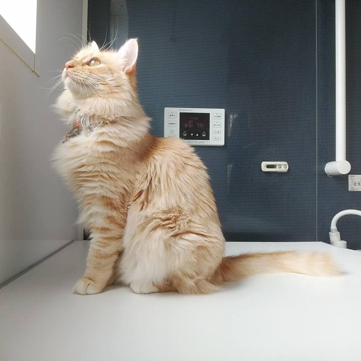 E160f789 2ae5 4074 b4f4 6ecb191d339e 1646540561450