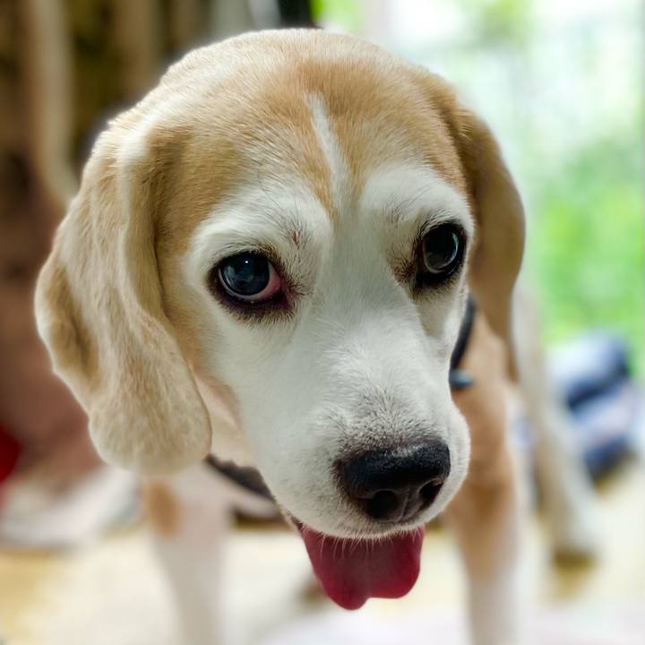 E160fcc6 6f0b 4bb1 901b a89031bc6492 1625805884382