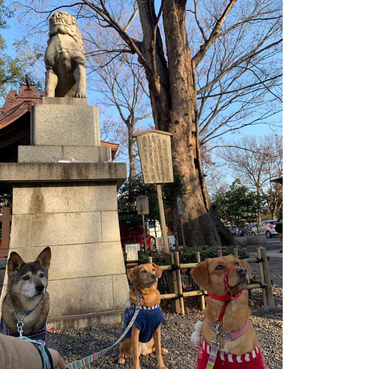 E1611cfa aa47 4651 aaec f3d7b1bbab47 1578723534985