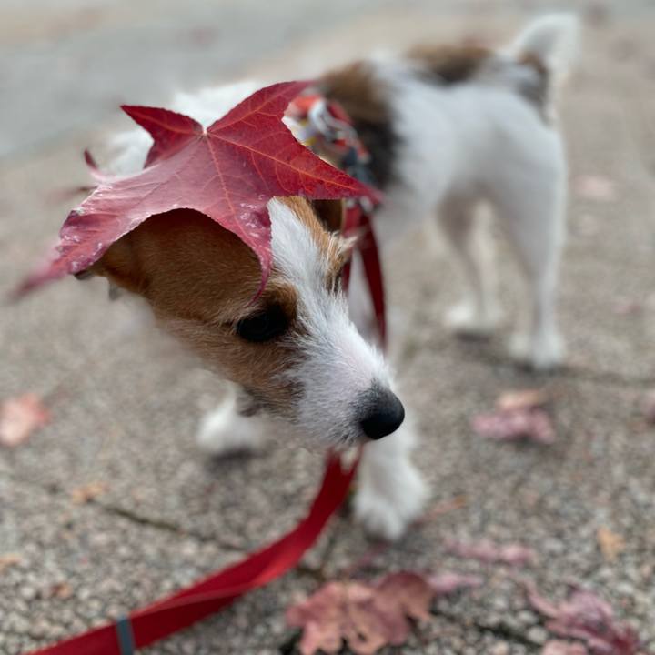 E1611d93 d219 4b7f 954c bf7b4562e837 1668983834924