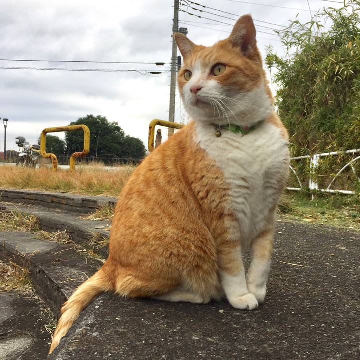 E161264c c372 479b 81ce 6d6a36b91c30 1543742032995