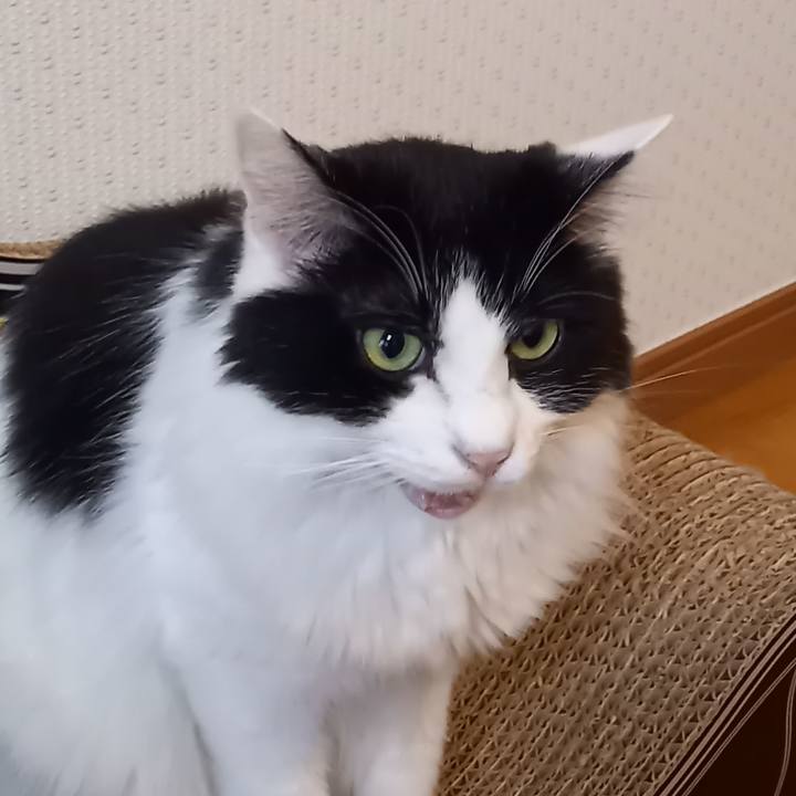 E16163da 4296 4ac1 9a4a 73490a9c7dae 1602908907027