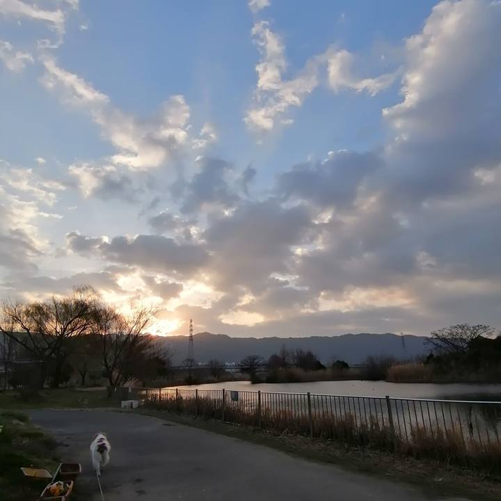 E16217d1 2ed2 4ee7 8246 998c8b7a2047 1614037038702