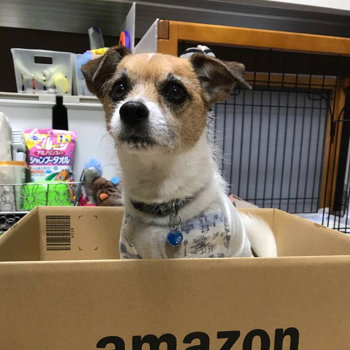 E16258a8 0d06 472c acee cce58dc46fbe 1523408949214