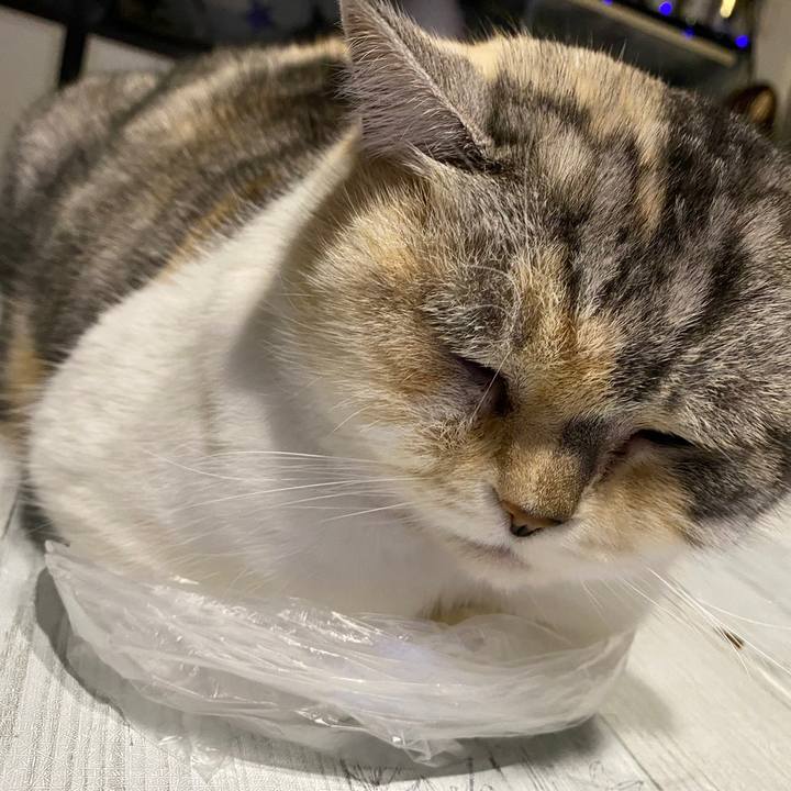 E1626454 1c23 4eb0 949c 650cd7178e06 1675472009965