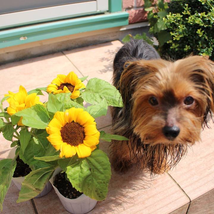 E1626d81 fc0b 4b9c aac7 996e7559b65f 1532328284418