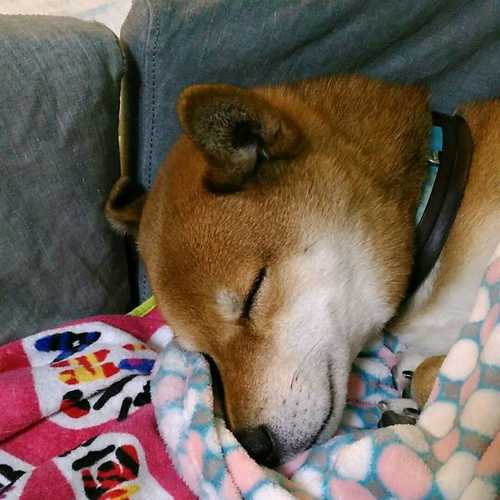 E1626e9e 3998 4bea 9726 19f0aaade2d3 1547390439951