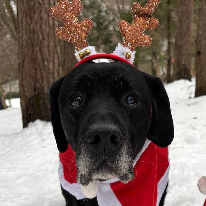 E1627665 90b1 4cb6 802c bcd037c2fba7 1766582054733