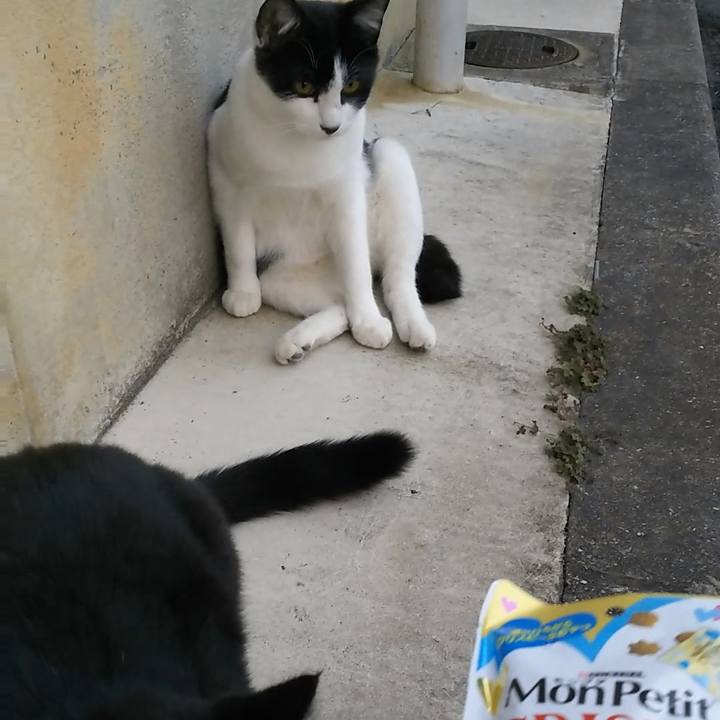 E16286b0 398f 40dc ae8c 022ed79b5b51 1542184588150