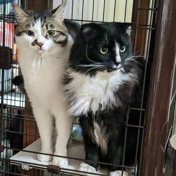 E162d638 4b2e 438a 81b3 0513a31f36d1 1679866929384