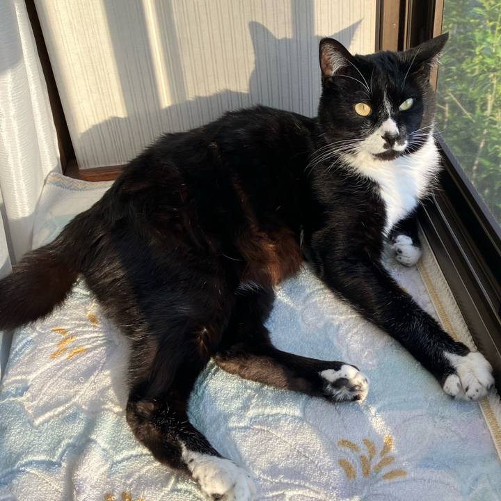 E162f419 46b1 4f2b ba1c ceb914ae940c 1718163433375