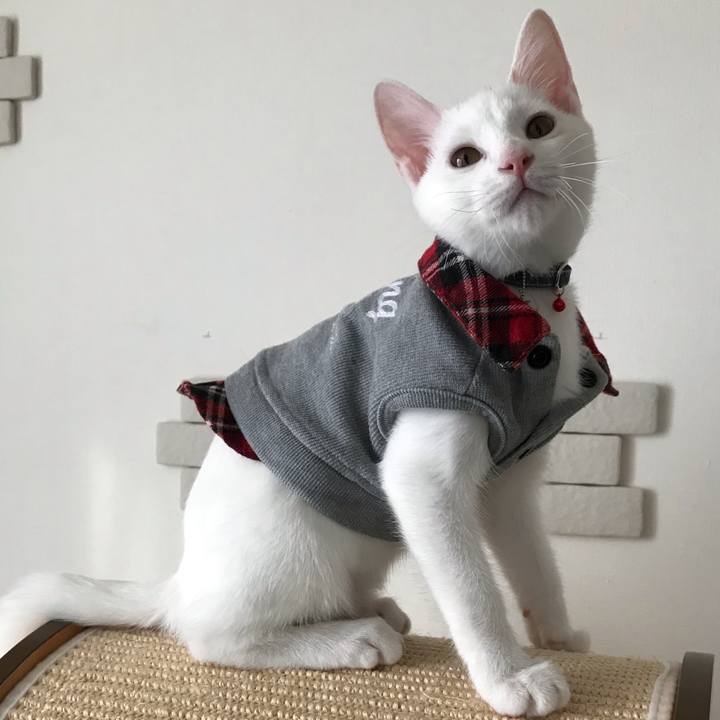 E162f787 39da 47c8 9609 46673c7fc28a 1570014220982