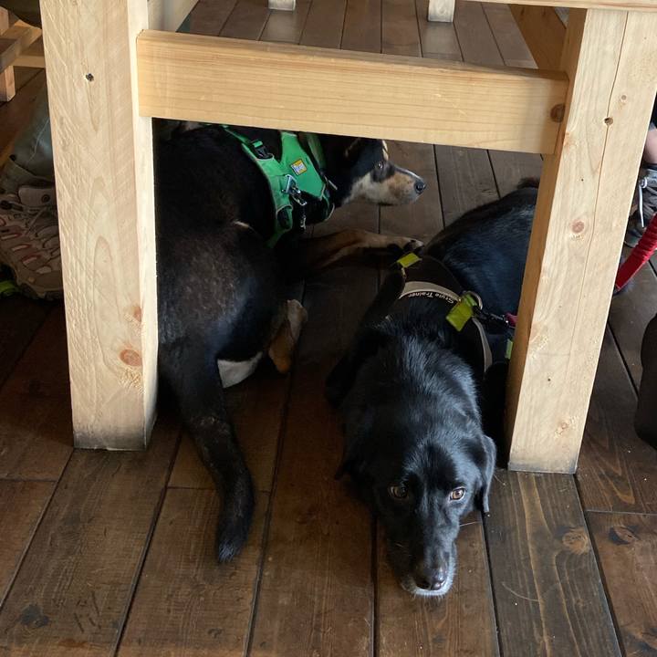 E1633067 6ff3 4575 8630 f1c548f45bd4 1571541245922