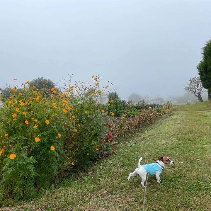 E1633eb4 ab21 49ce 96db f692a3ba4968 1633930356001