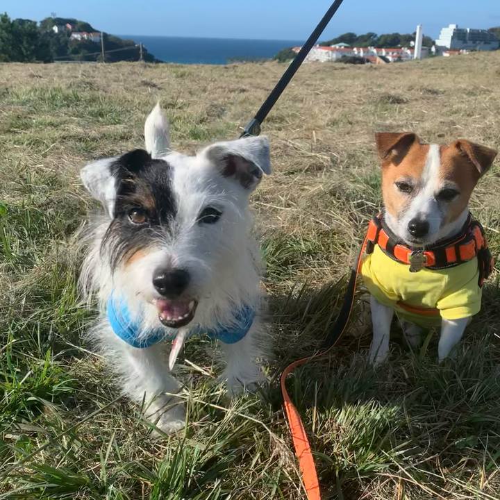 E1636cef 5b24 40d6 9a9d 34d948f728fe 1633910070842