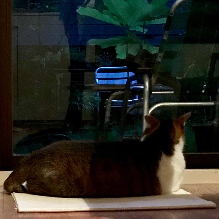 E1638069 6d68 4c8e 9e6d 62161dc3e5d2 1567157661745