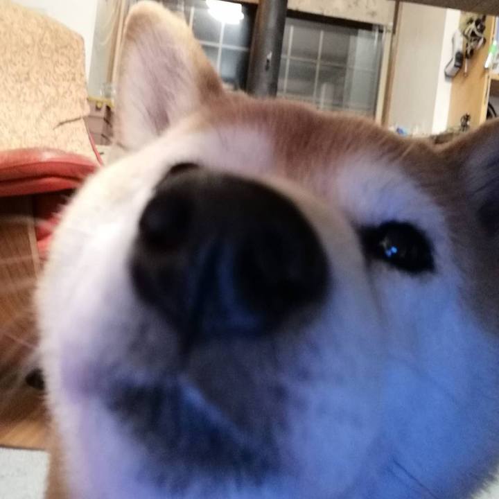 E1638def e57d 4cbd 9bf3 a5c493e9b5d2 1577700873451