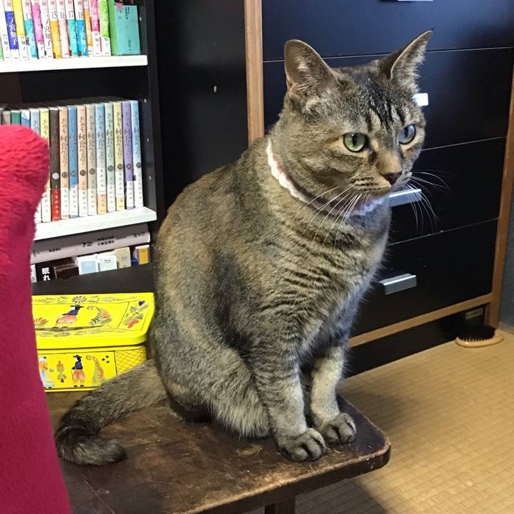 E1638ef8 9fa4 4cda ab80 2144ddb31502 1718527742145