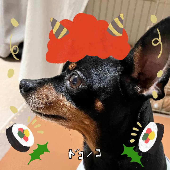 E1639b02 0893 4211 9e86 49660b5dd838 1706798564773