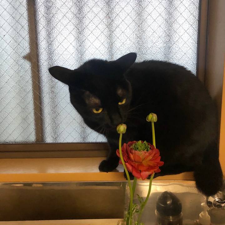 E163a357 9876 4b20 bff5 c2c01d95529a 1582015888842