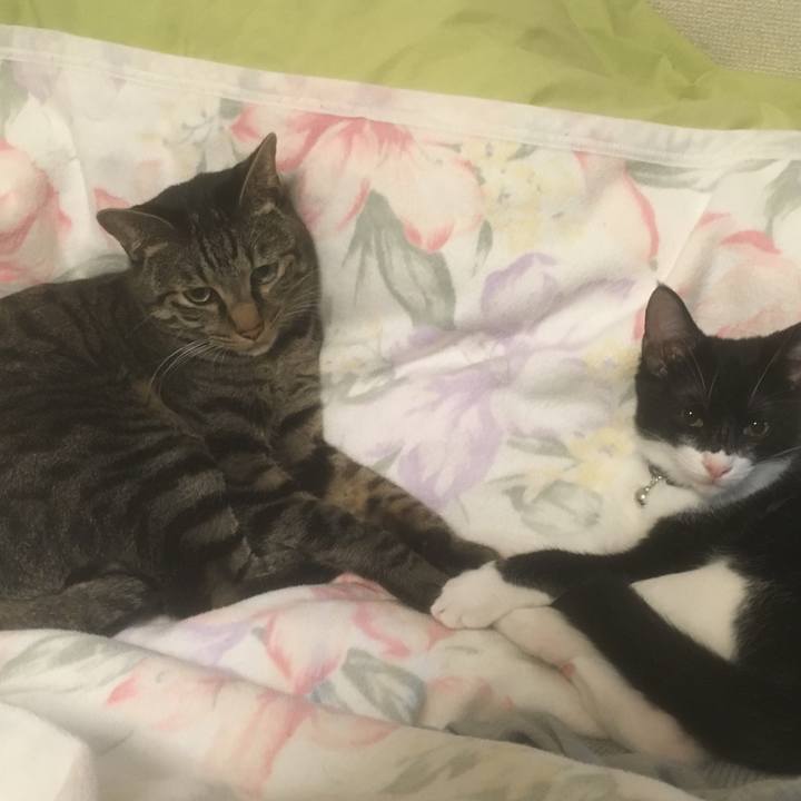 E163aba5 6dfd 4a85 9e35 8126517e8153 1510617642631