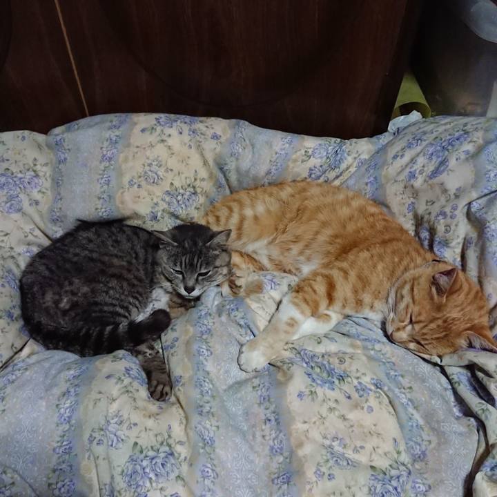 E163c83c 354f 4390 8262 a3109bcd4da3 1589112976251